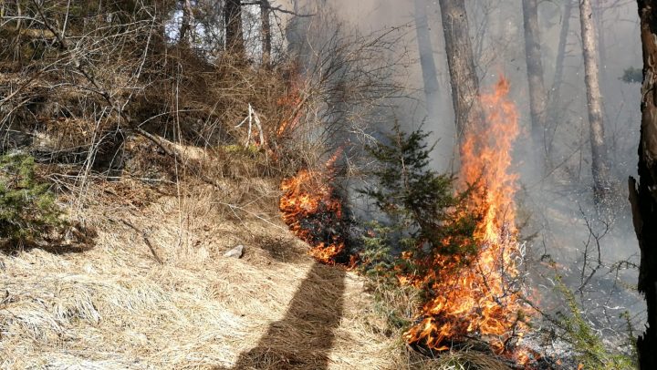 Erster Waldbrand im Bereich Telfs